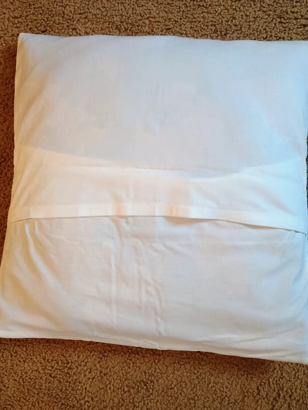 Decorative Garden Path Butterfly Pillow COVER. Pillow Not Included.